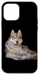 Coque pour iPhone 12 mini Husky de Sibérie portant des lunettes et une écharpe avec un livre