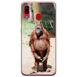 Azzumo Orangutan at the zoo Soft Flexible Ultra Thin Case Cover For the Samsung Galaxy A20e (2019)