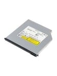 DVD-ROM drive - Serial ATA - internal - DVD-ROM (Læser) - SATA -