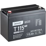 Traction T115 Pro Batterie Décharge Lente 12V 115Ah agm au Plomb - Accurat