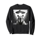 Capybara UFO Funny Capybara Selfie with UFOs Alien Men Women Sweatshirt