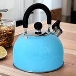 Sky Blue Stovetop Kettle Whistling Spout Stainless Steel Gas Electric Induction