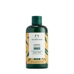 The Body Shop - Ginger Scalp Care Shampoo