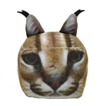 Roblox Raise A Floppa 3D Kvadratisk Katt Mjuk Fylld Dock Kitten Plysch Leksak Barn Jul Födelsedagspresent