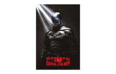 Poster Batman I am the shadows