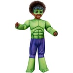 Hulk Boys Deluxe Costume - 3-4 Years
