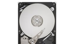 Lenovo Simple-Swap - Hårddisk - 500 Gb - Flytbar - 3,5" - Sata 3Gb/S - 7200 Rpm - Cru - Tier 2 - För System X3105  X3250 M4  X32xx  X32xx M2  X3400 M2  X34xx  X3500 M3  X3550  X3755 M3