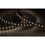 D-Cell D2W 5M Strip 24V IP67 9,6W/930-918 960lm/m B:12 H:62,5mm