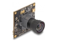 Delock - Overvåkingskamera - brett - farge - 2,1 MP - 1920 x 1080 - 1080p - fastfokal - lyd - USB 2.0 - DC 5 V
