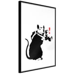 Plakat - Rat Photographer - 40 x 60 cm - Sort ramme