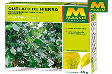Engrais pour Les Plantes Massó Quelato de Hierro (50 g)