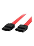 StarTech.com SATA Serial ATA Cable - SATA cable - 45.8 cm