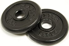 Master Vikter Gjutjärnsplattor Master 1,25 Kg X2