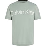 Calvin Klein Sport Pique Gym T-shirt Ljusgrön Small Herr