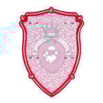 High Quality Shield For Children In Eva Foam