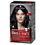 Schwarzkopf - Brillance - Coloration Cheveux Permanente Intense - Avec de l'Huile - Couvre 100% des Cheveux Blancs - Eclat de Nuit Noir Bleuté 891