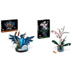 LEGO Icons Kingfisher Bird Set, Model Building Kit for Adults to Build with Water Setting Stand & 10311 Icons Orchid Artificial Plant Building Set with Flowers, Home Décor Accessory for Adults