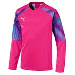 PUMA Cup GK Jersey LS Jr