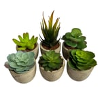 Set of 6 Artificial Succulent Mini Cactus Plants
