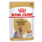 Ekonomipack: Royal Canin Breed 48 x 85 g - Breed Yorkshire Terrier