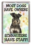 Miniature Schnauzer Dog Fridge Magnet - Most Dogs Have Owners Schnauzers Have Staff - Fun Novelty Dog Gift Lovely Mothers/Fathers Day Birthday Christmas Present Idea