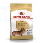 Royal Canin Dachshund Adult
