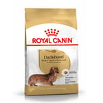 Royal Canin Dachshund Adult