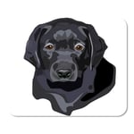 Mousepad Computer Notepad Office Labrador of Black Lab Puppy Portrait Dog Retriever Head Drawing Adorable Animal Home School Game Player Computer Worker Inch