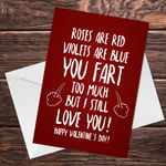 Funny Valentines Day Card Poem Card For Boyfriend Girlfriend Husband Wife Him