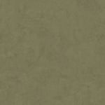 Kalk Forest - 1035901-02