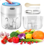 Electric Garlic Masher,Mini Food Chopper Electric,USB Charging Portable Vegetable Fruit Meat Garlic Onion Ginger Chopper with 2&3 Sharp Blades Grinder,2PCS Thickened Cup base-100ML&250ML