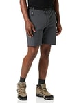 Regatta Mens Xert III Shorts, Seal Grey, 62