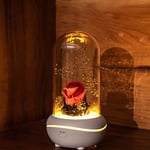 HaavPoois Eternal Rose Flower, Essential Oil Diffuser Natural Rose Flower Valentines Day present, LED Colorful 800mah Battery USB Rechargeable Transparent Plastic Dome Decoration Women gift