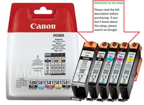 Canon Ink Cartridges, PGI-580PGBK CLI-581BK CLI-581C CLI-581M CLI-581Y, (Setup )