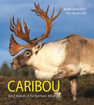 Mark Raycroft - Caribou Wind Walkers of the Northern Wilderness Bok