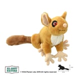 Wild Planet All About Nature 42cm Bush Baby Plush Soft Cuddly Animal Toy *NEW*