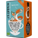 Clipper Organic White Tea With Orange 20 teepussia