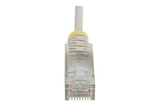 StarTech.com 2m Slim LSZH CAT6 Ethernet Cable, 10 Gigabit Snagless RJ45 100W PoE Patch Cord, CAT 6 10GbE UTP Network Cable w/Strain Relief, Grey, Fluke Tested/ETL, Low Smoke Zero Halogen - Category 6 - 28AWG (N6PAT200CMGRS) - patchkabel - 2 m - grå