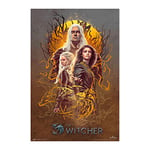 Grupo Erik Poster, Paper, The Witcher 2 x 61 x 91.5 cm