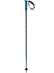 Völkl Unisex - Adult Phantastick 16 mm Blue Poles Ski Poles, One Size