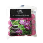 20pc Scented Tealights Night Candle Velvet Orchid 8hrs Burning Time by Baltus
