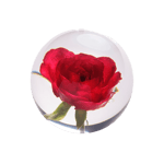 In Flore Rose Pappersvikt Röd