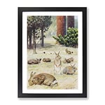 Vintage Karl Ludwig Hartig Wild Rabbits Vintage Framed Wall Art Print, Ready to Hang Picture for Living Room Bedroom Home Office Décor, Black A2 (64 x 46 cm)
