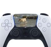 Epic Modz 2X Playstation PS5 Controller Touchpad Bar Personalised Custom Vinyl Decal Sticker