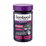 Sambucol Black Elderberry Childrens Gummies 30 Pack