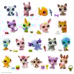 Littlest Pet Shop Pet Pals s2 (1-pack) multifärg