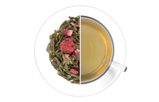 Grön Wellness Ginkgo