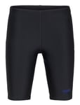 Speedo Boys Plastisol Placement Jammer Svart
