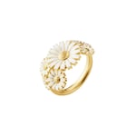 Daisy Vit Layered Ring Guld