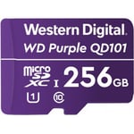 WD Purple SC QD101 Ultra Holdbarhed microSDXChukommelseskort, 256 GB